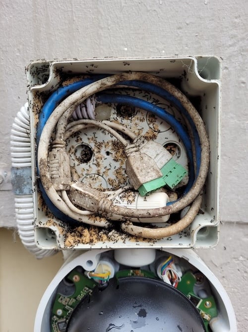Remote Access and Maintenance